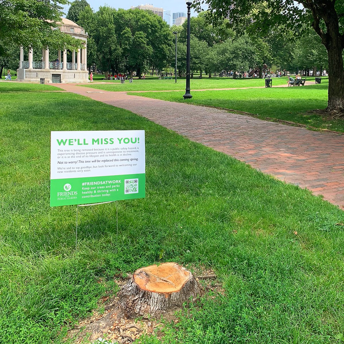 FOPG's tweet photo. #FriendsAtWork We're saying goodbye to some good Friends. ๐ข The most difficult part of our annual tree care plan is the regular removal of resident trees. Fourteen trees are currently being removed from Boston Common. https://t.co/qcb5l5NVrP