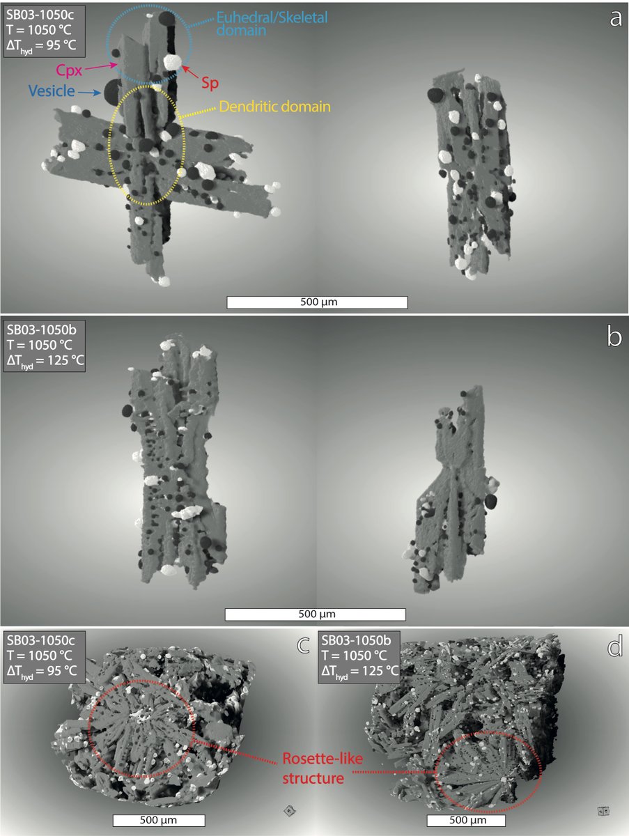 Fabio Colle tweet media
