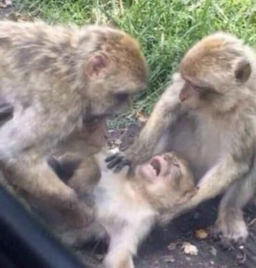 DE DONDE SALIO ESTO? ME VAN A DAR 50 PAROS CARDÍACOS