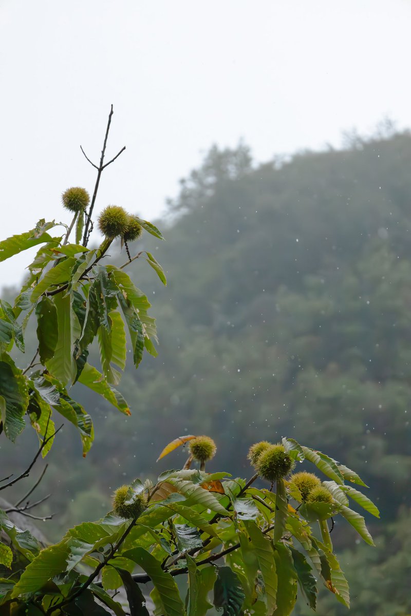 _pr____'s tweet image. ⛰🌧