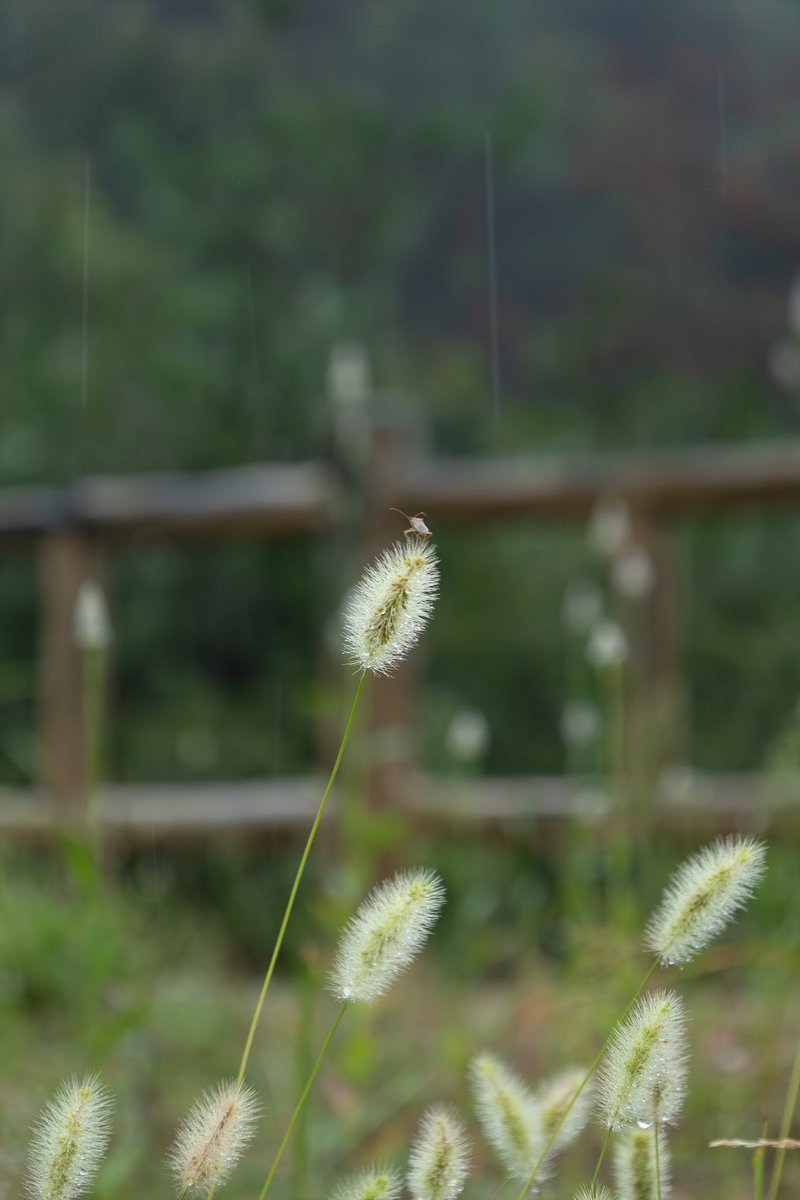 _pr____'s tweet image. ⛰🌧