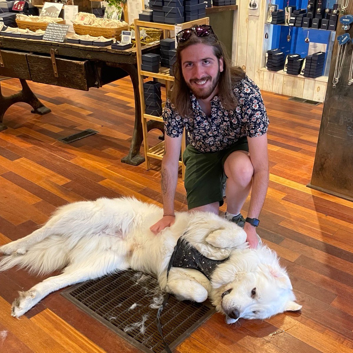 WeRateDogs tweet media