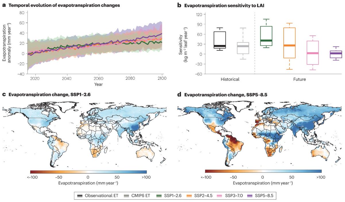🚨New Review!

Evapotranspiration (ET) on a greening Earth

This Review explores the drivers and characteristics of ET changes since the 1980s, noting a positive and accelerating trend arising from global greening
nature.com/articles/s4301…
Free: rdcu.be/dj8fe