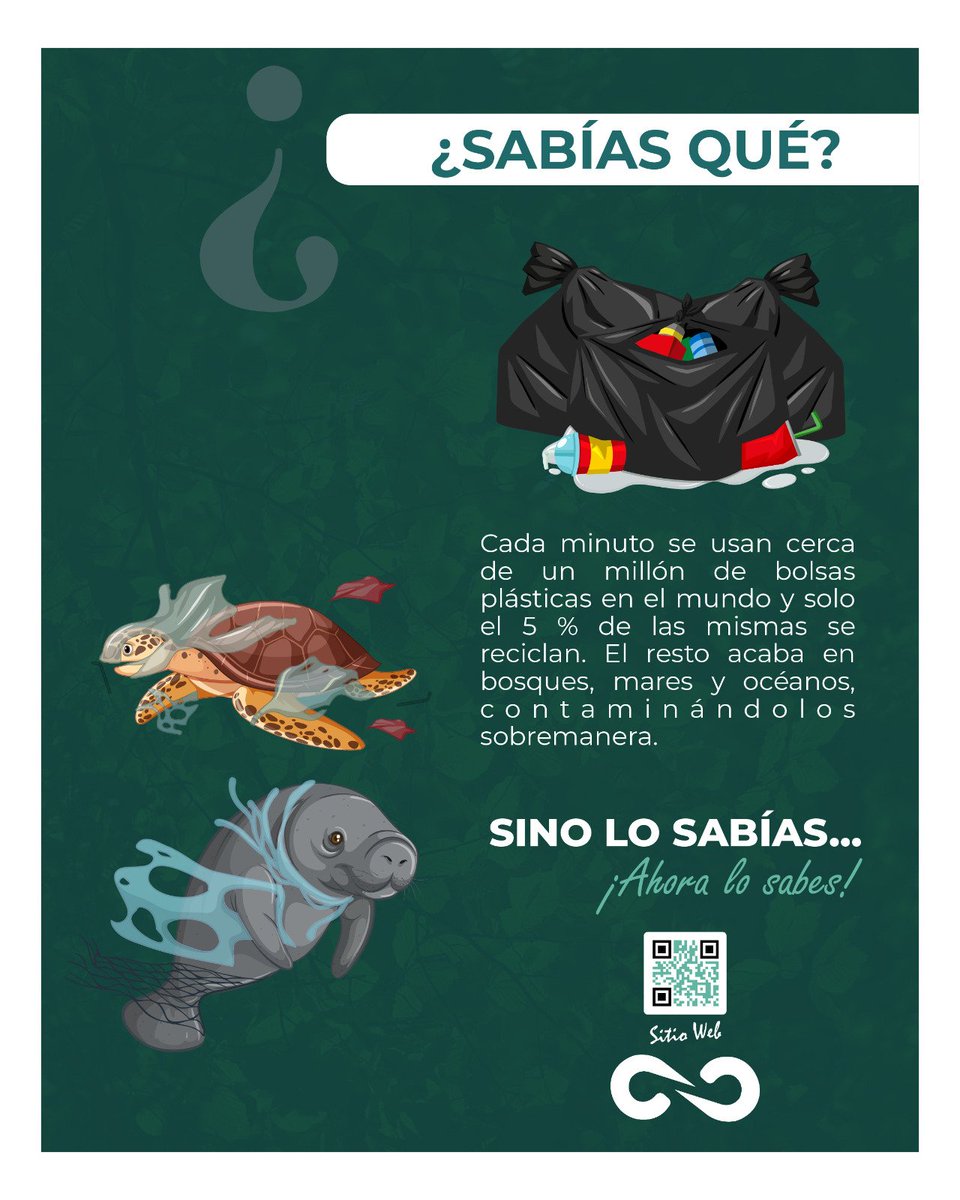 #datoplanamb

¿Sabías que cada minuto se usan cerca de un millón de bolsas de plástico en el mundo? Y lo que es peor… ¿qué sólo el 5% de dichas bolsas se reciclan?

#Planamb
#ConsultoriaAmbiental