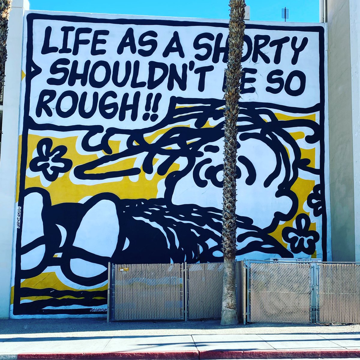 Just a reminder you’ll make it thru and will come out stronger for it #lifeisallaboutperspective by this @snoopygrams #peanuts #snoopy inspired #streetart #graffiti art #urbanart #mural #artiseverywhere