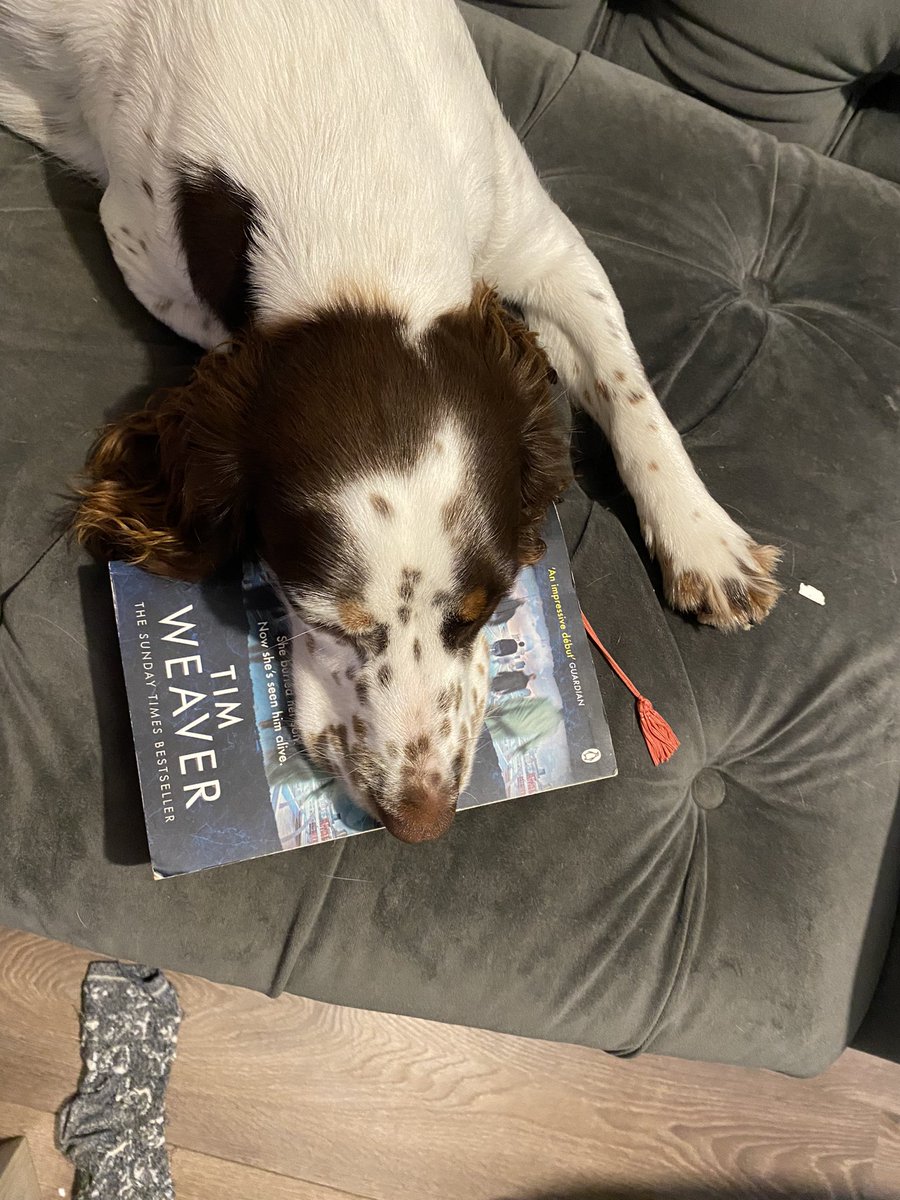 Loving this <a href="/TimWeaverBooks/">Tim Weaver</a> book but the excitement is just too much for someone!