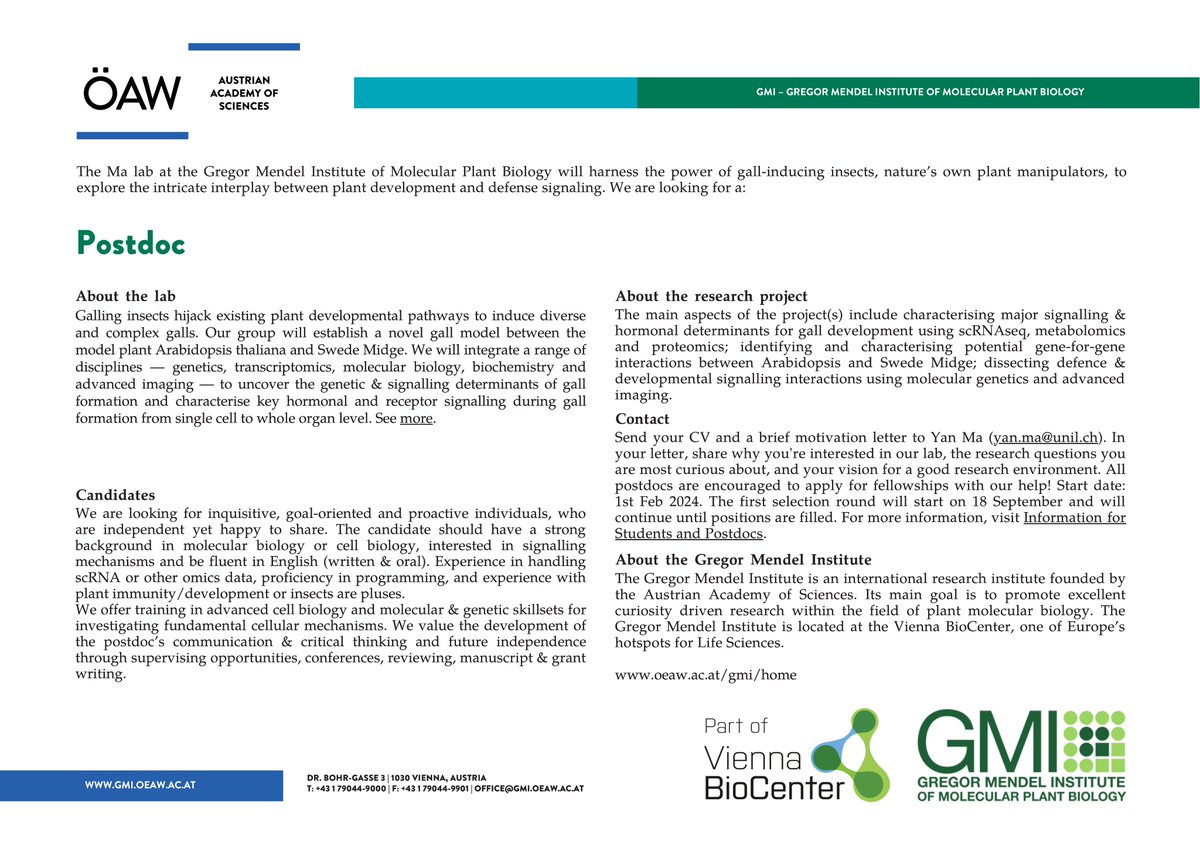 Yasin Dagdas tweet media