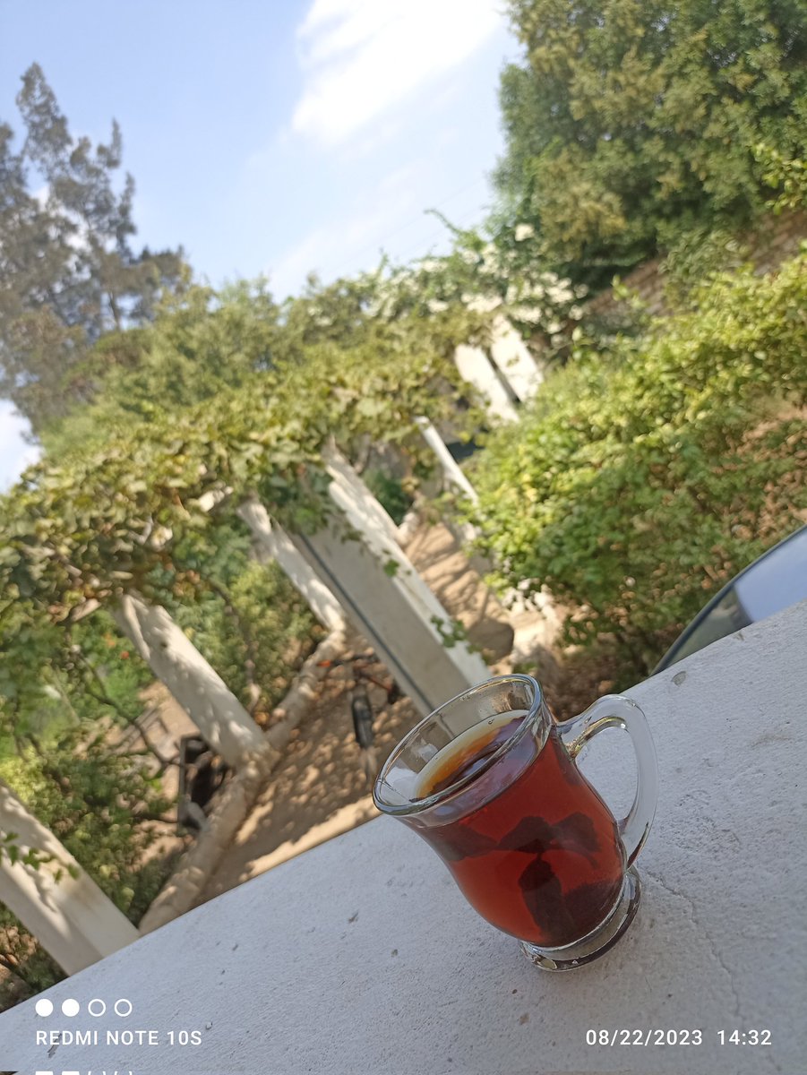 كبايه شاي العصاري دي متتعوضش💚🫰