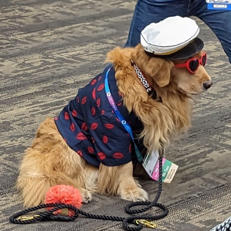 T4. New Month. New Conference. with a Stormy start !
Looking forward to the different sessions in the next few days <a href="/spie/">Stella Elliott</a> #SPIEOpticsPhotonics