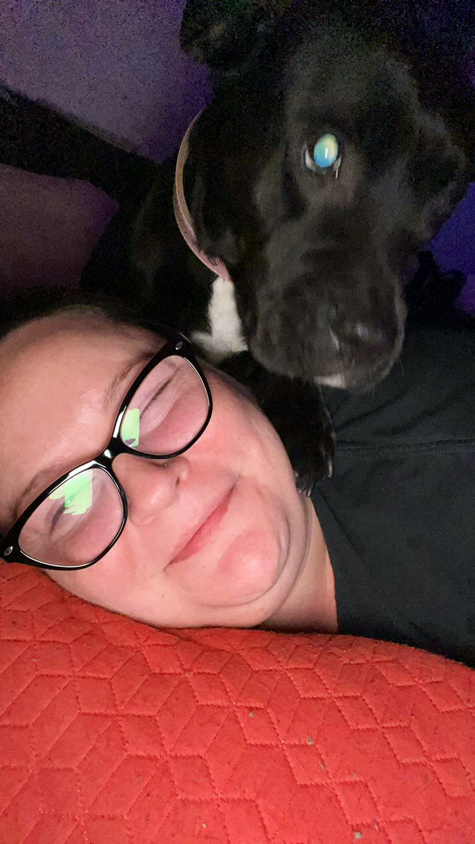 SweetGoodGirl1's tweet photo. You know what sucks? Waking up alone because dude guy roomie is in Miami this week lol
Thankfully the pups have been extra lovie and snuggly sooo it’s ok I guess ♥️ #Piggums https://t.co/bgqBG9cJRq