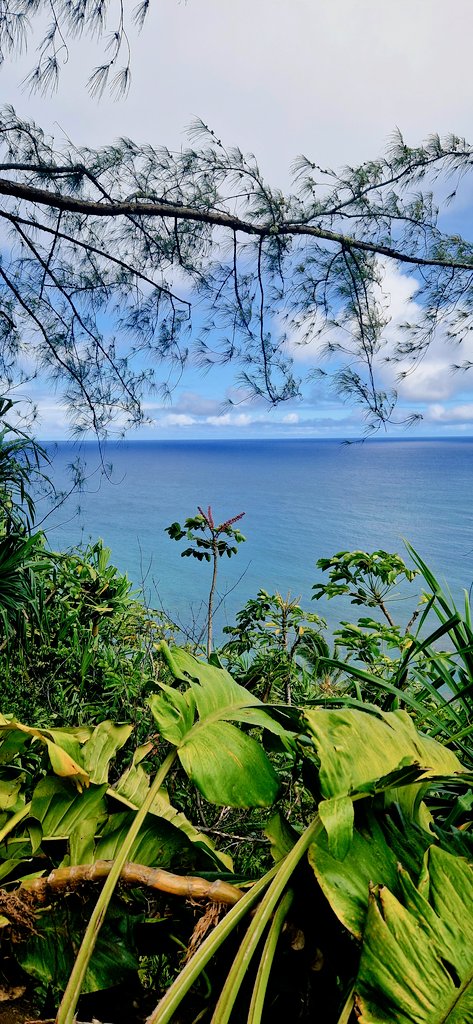 #myhappyplace <a href="/Kauai/">Kauai.com</a> 🌺 #napalicoasttrail 👣🐓👣