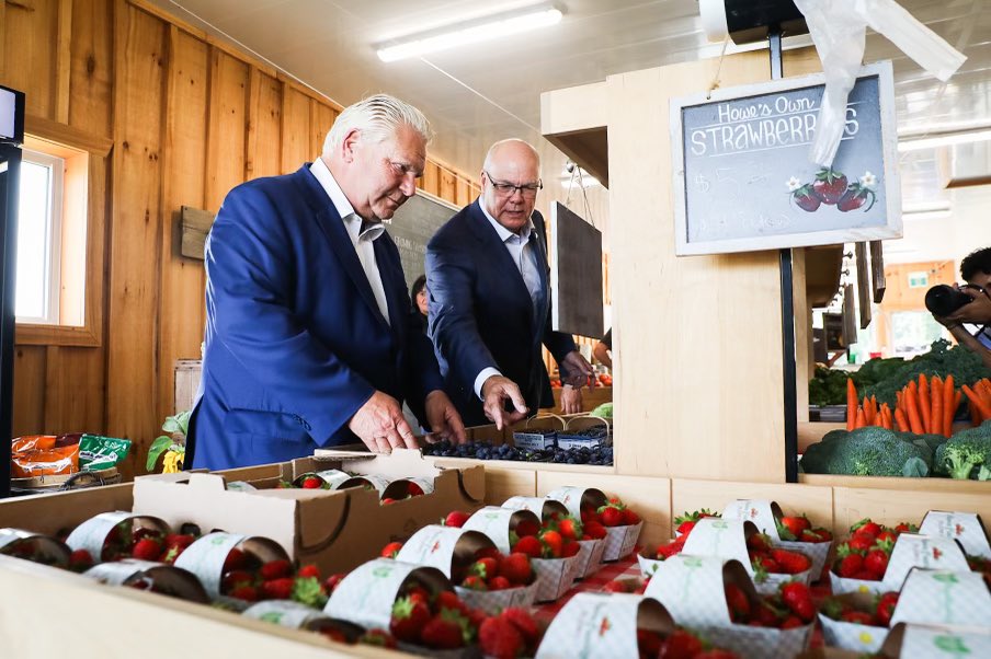 If you’re ever in the St. Thomas area, make sure and stop by the Howe Family Farm Market!

This family-run farm has everything from fresh picked fruits and veggies to delicious baked goods made with Ontario grown products. Thanks for having me by!