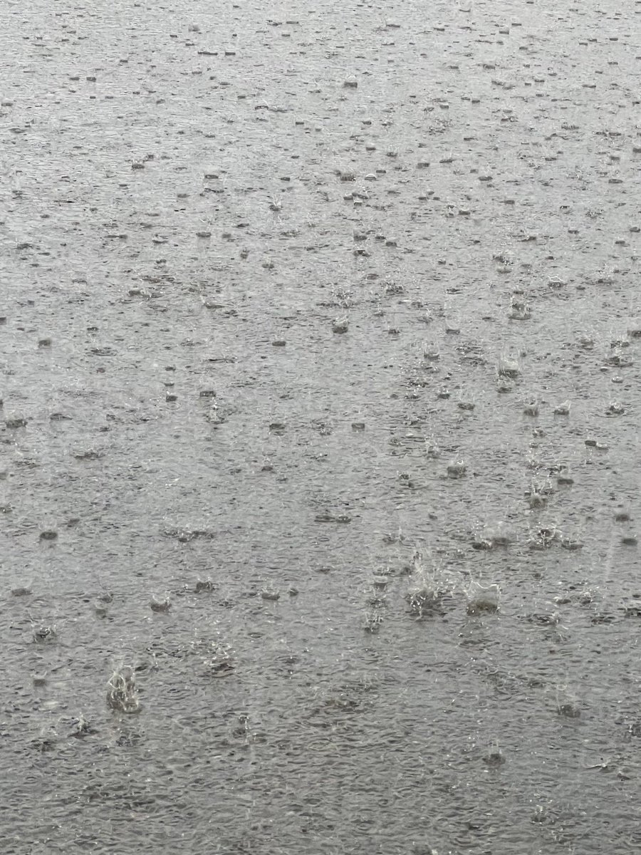 r__af06's tweet image. يأيها المطرُ  الرقيقْ                                 
أنعشت روحي والطريق