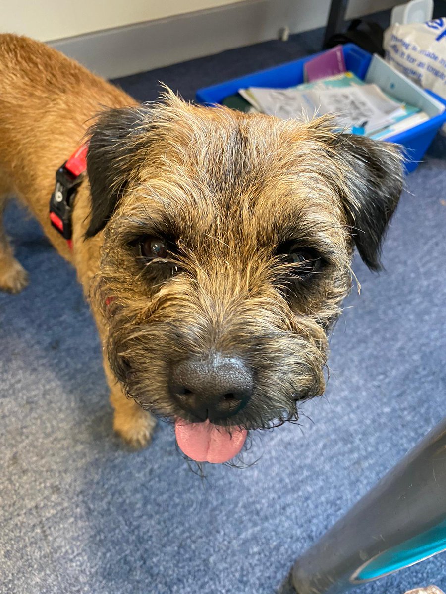 Hillpark Technologies Faculty tweet media