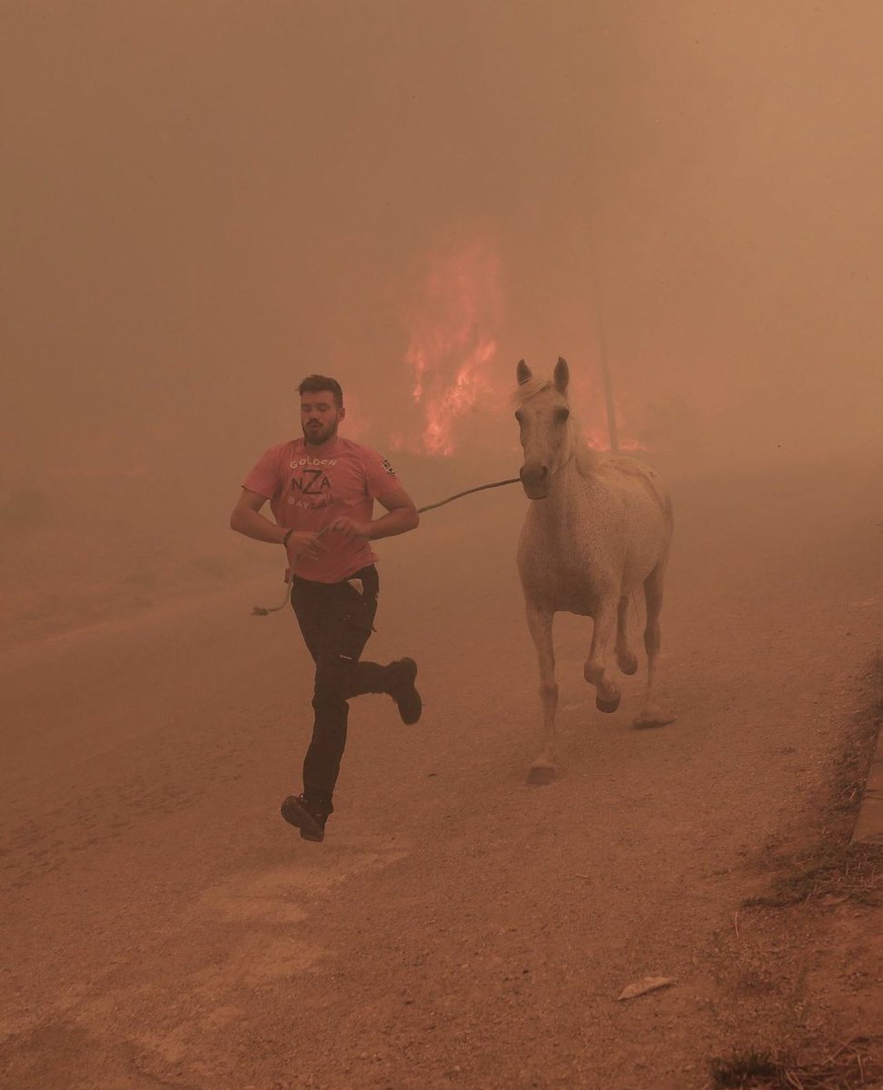 THI_OneGreece's tweet photo. Wildfires continue to ravage #Greece, with the situation escalating in various regions, including Alexandroupolis where the hospital had to be evacuated. You can help by donating to #THI Wildfire Relief Campaign! https://t.co/SoM7Fp3d84 https://t.co/Usxhwnbw4K