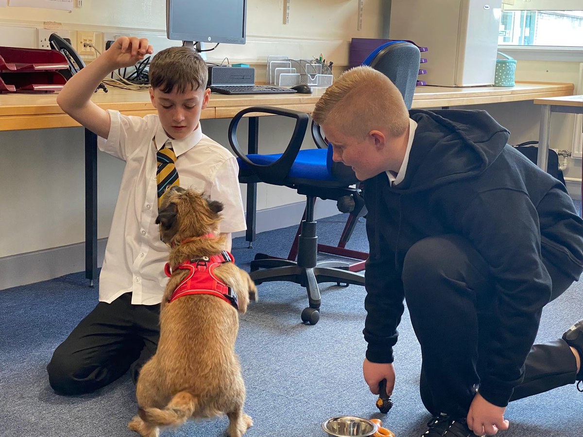 Starting our new Twitter with pictures of the incredible Gus meeting some of our S1 pupils! 🐶🐾

It has been great to welcome back students and see our new S1 settle in across the school.