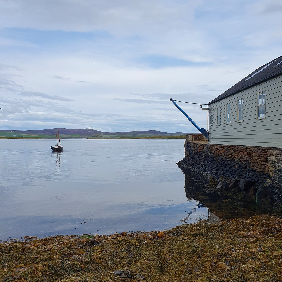 Dr. Marie Kershaw tweet media