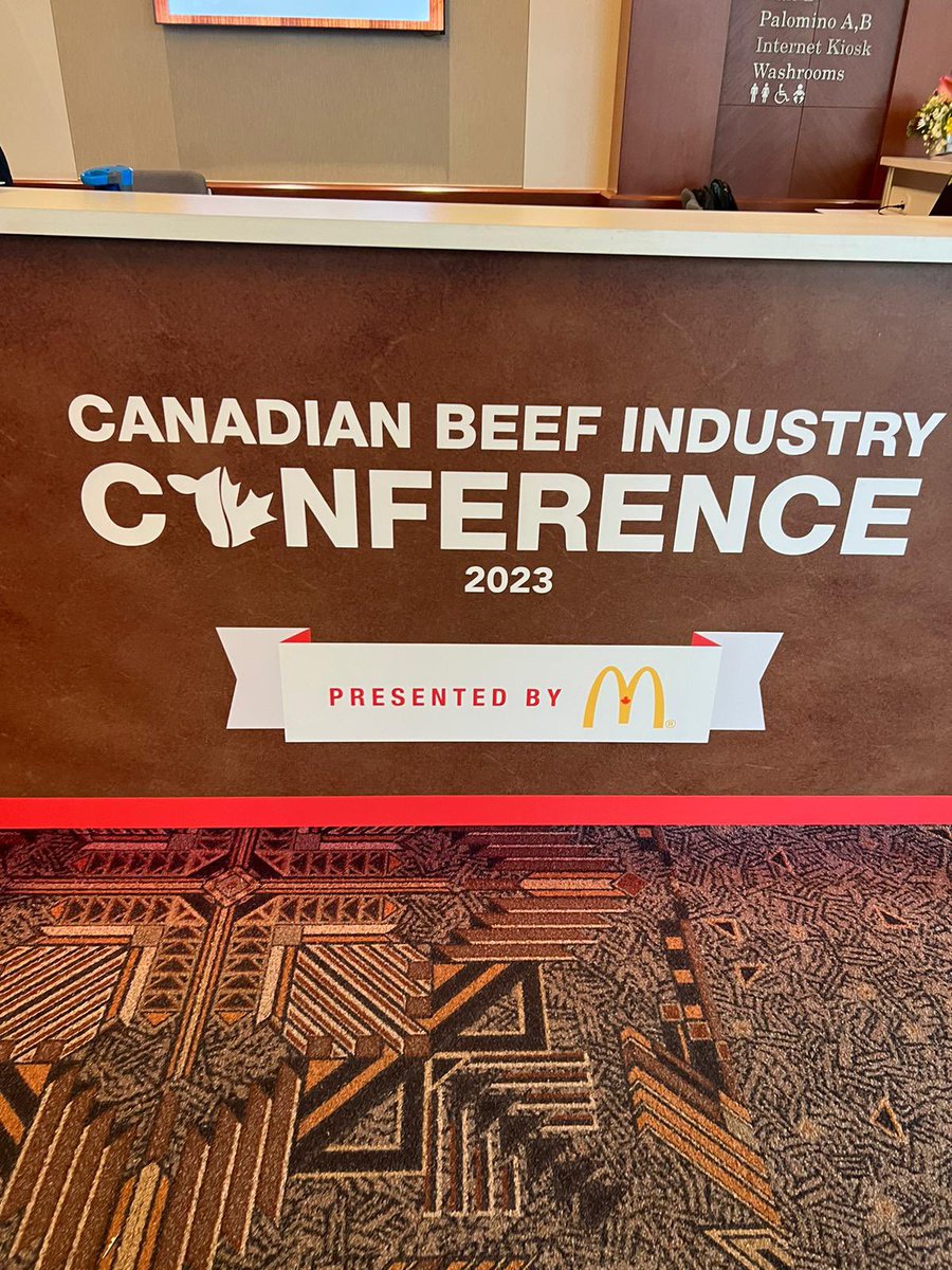 Fernando Mayer De Leeuw tweet media