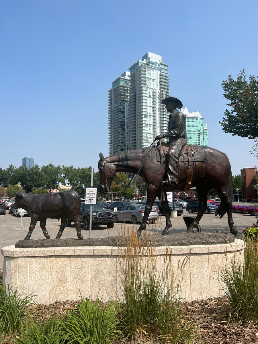 Fernando Mayer De Leeuw tweet media