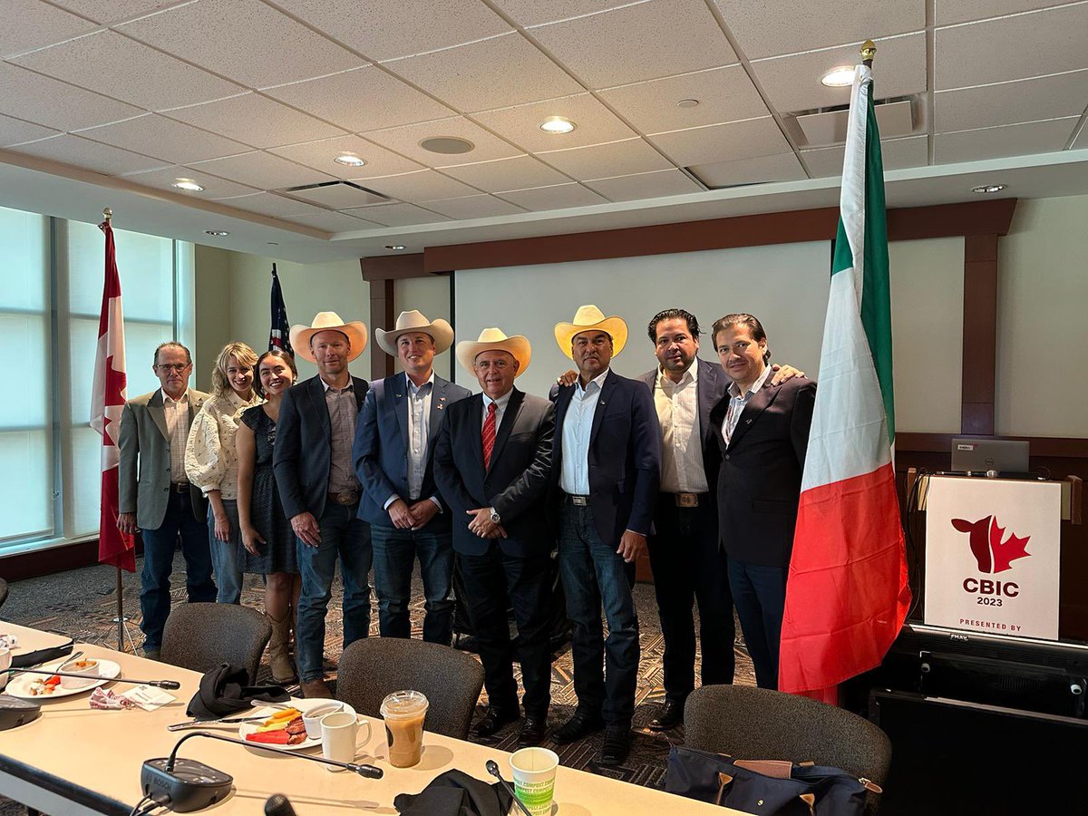 Fernando Mayer De Leeuw tweet media