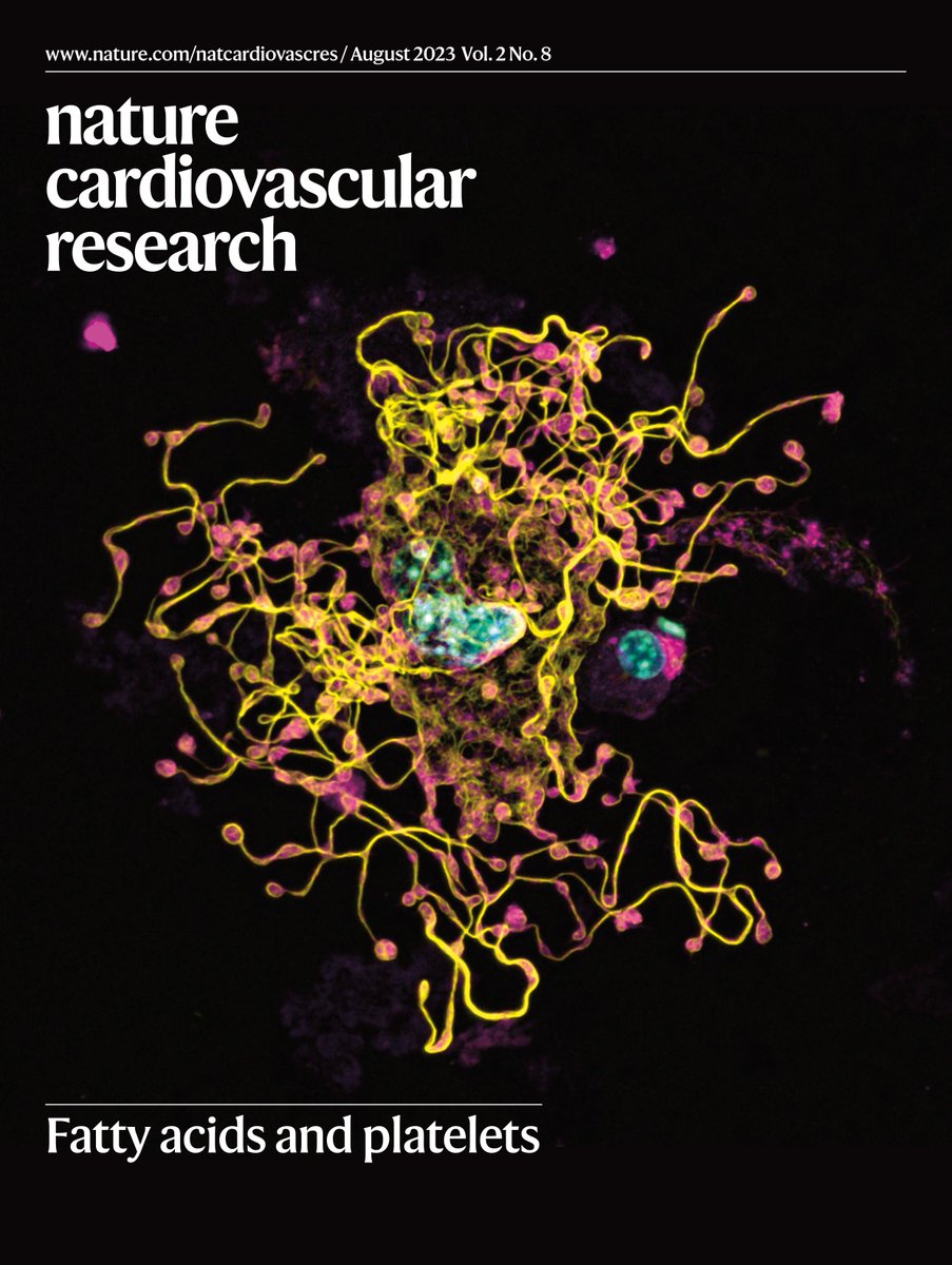 ❤️The August issue is out ❤️Read about the #vascular #ECM_mechanics, #myocardial bioenergetics in #ischemia patients, #fatty_acids and #platelet production, DNA helicase's vasculoprotective role in a model of #Kawasaki_disease, and more! nature.com/natcardiovascr…