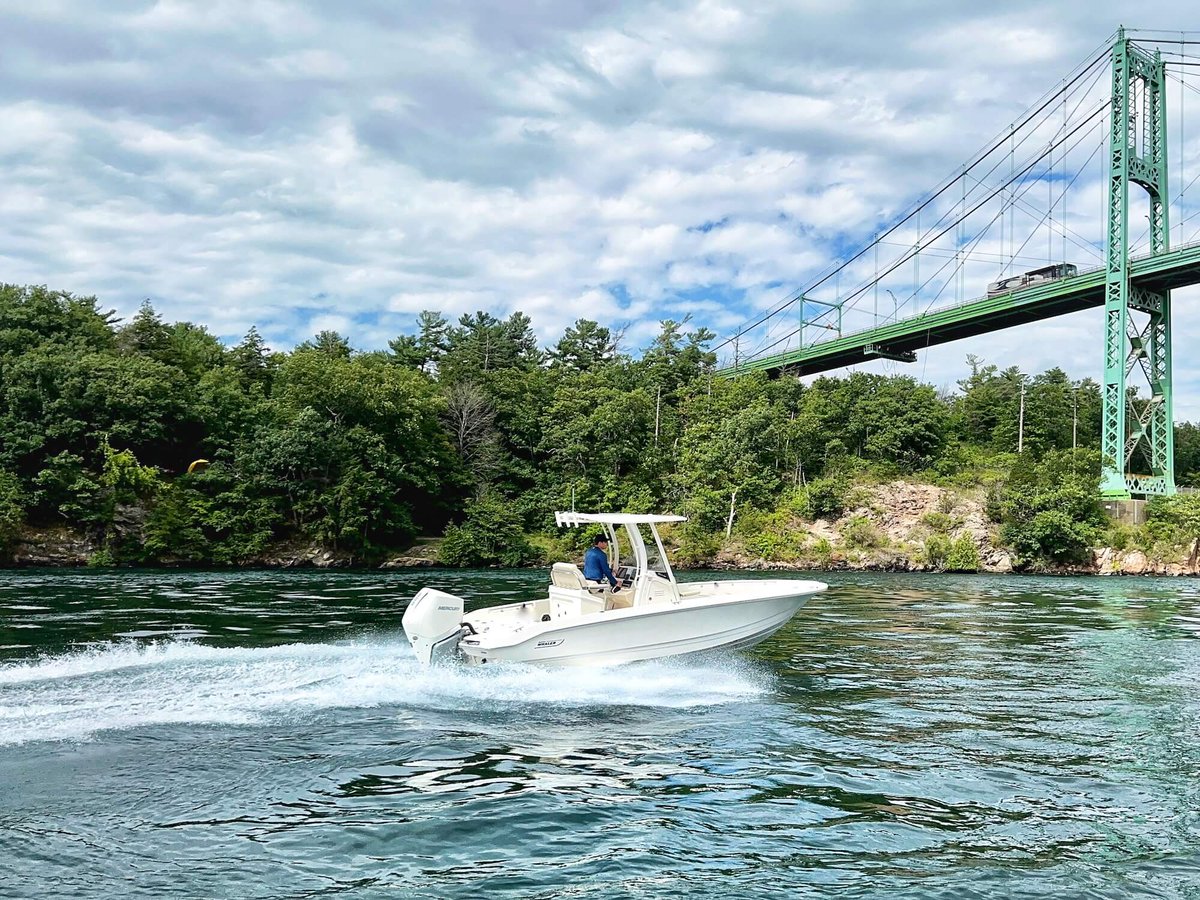 Cruising the River in a 250 Dauntless hucks.ca <a href="/Boston_Whaler/">Boston Whaler</a> <a href="/skicarvin/">Peter Johnston</a> #1000Islands #boats #beyondboating