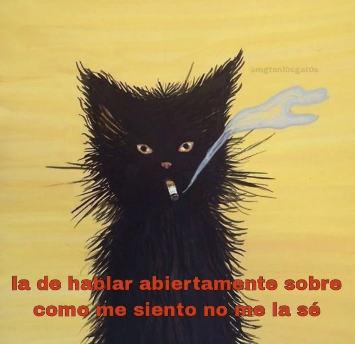 skereunpesado's tweet image. 