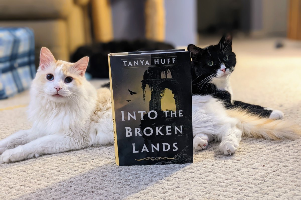 Happy paperback #Bookbirthday to @TanyaHuff for #IntoTheBrokenLands. I haven't been able to get this book or its main character, Nonee, out of my mind for over a year. Great writing and world-building. One of my best reads of 2022: bit.ly/3YZQIGU #fantasy