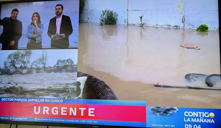 medixi's tweet photo. 🔴😡Es tal mi indignación y molestia con esta cagá de Gobierno que me cuesta escribir sin Garabatos😡
Estos HDP, indolentes, siniestros, asesinos y desgraciados en el día 1 debieron haber sacado a todas las FFAA, todos vemos solo a Carabineros y Bomberos.
Estos imbéciles e ignorantes no tienen idea de nada y no dan soluciones concretas, un desastre.