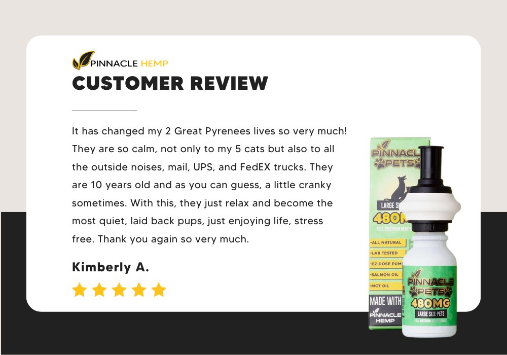 PinnacleHemp's tweet image. A stress-free life for your pup? We've got you. 

Kimberly gives her fur babies our Full-Spectrum CBD Pet Tincture and has nothing but good things to share. 

So, when are you going to order?

#pinnaclehemp #cbdforpets #cbdfordogs #doganxiety