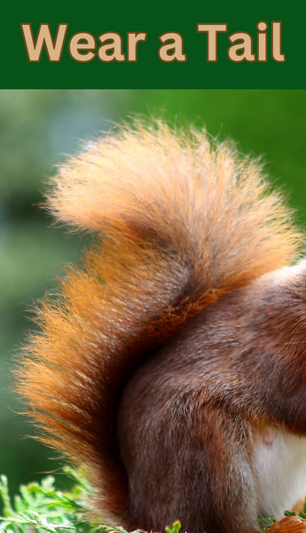 Our users are some 🐿SEXY BEASTS🐕🐴 
This week's most popular Fantasy Swipe is WEAR A TAIL🐈‍⬛❤️‍🔥🦨 
Wanna check out what Fantasies you and your boo might get down with? Come on Amorus swipe and see what matches you make. 🙈 Free on iOS 
apps.apple.com/us/app/amorus/…