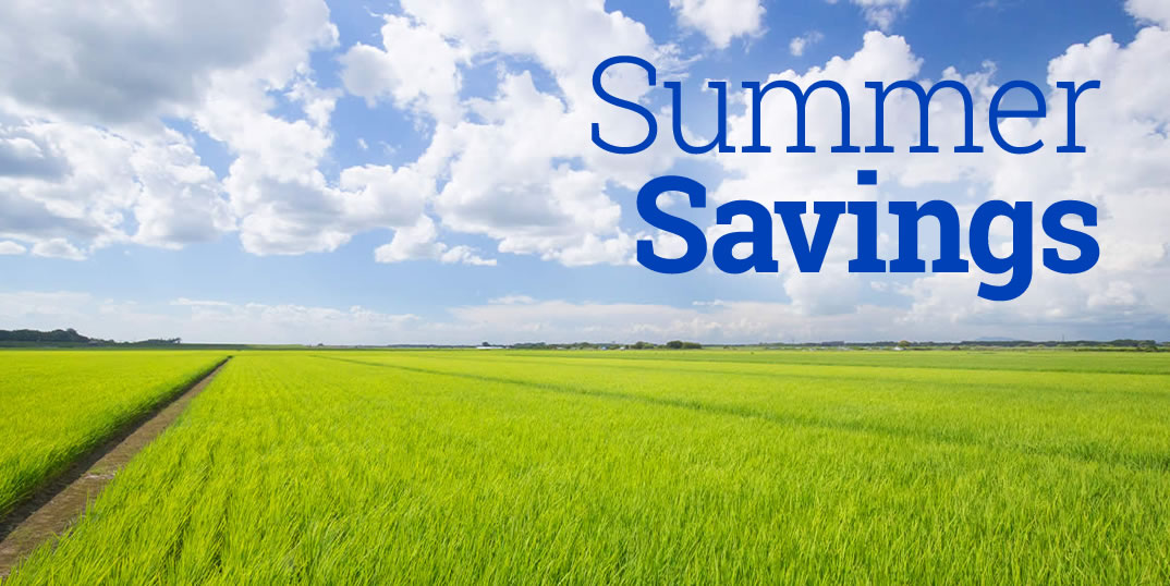 ...or discover another story from our library of more than 1150 published episodes across dozens of series. And now you can get all of this great content, plus real human support, at a great introductory price. Come study with us! 一緒に勉強しましょう！

satorireader.com