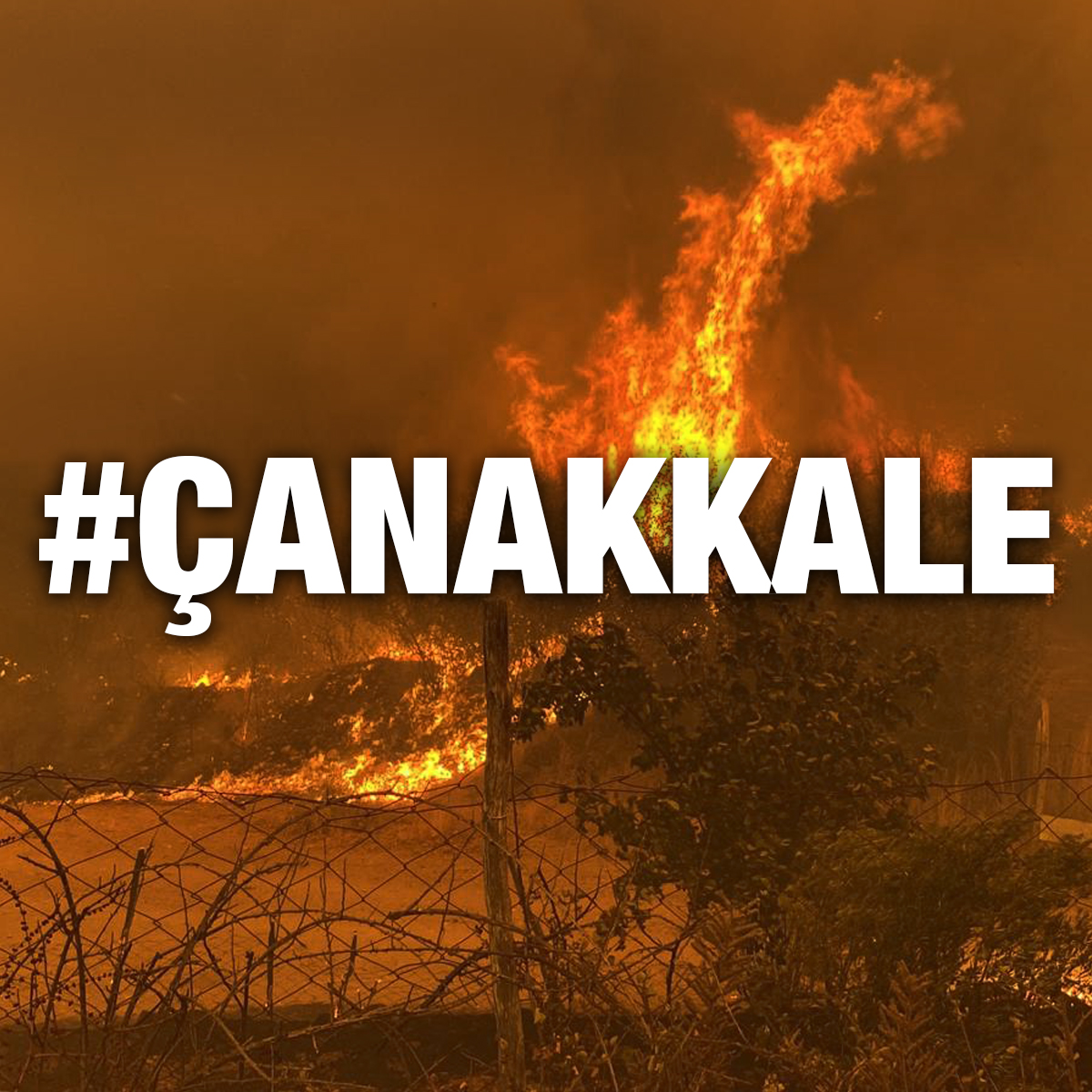 Çanakkale'de merkeze bağlı Kayadere köyü yakınındaki ormanlık alanda çıkan yangın rüzgarın etkisiyle hızla yayıldı. Birçok köy boşaltıldı. Kalbimiz Çanakkale'de, yangından etkilenen tüm canlarda ve yangını kontrol altına almak için canla başla mücadele edenlerde. #Çanakkale