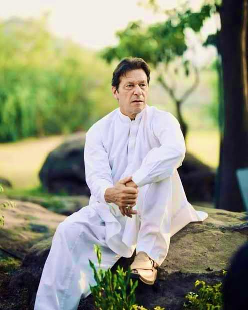 Mr Altcoin Whale 🐋 tweet media