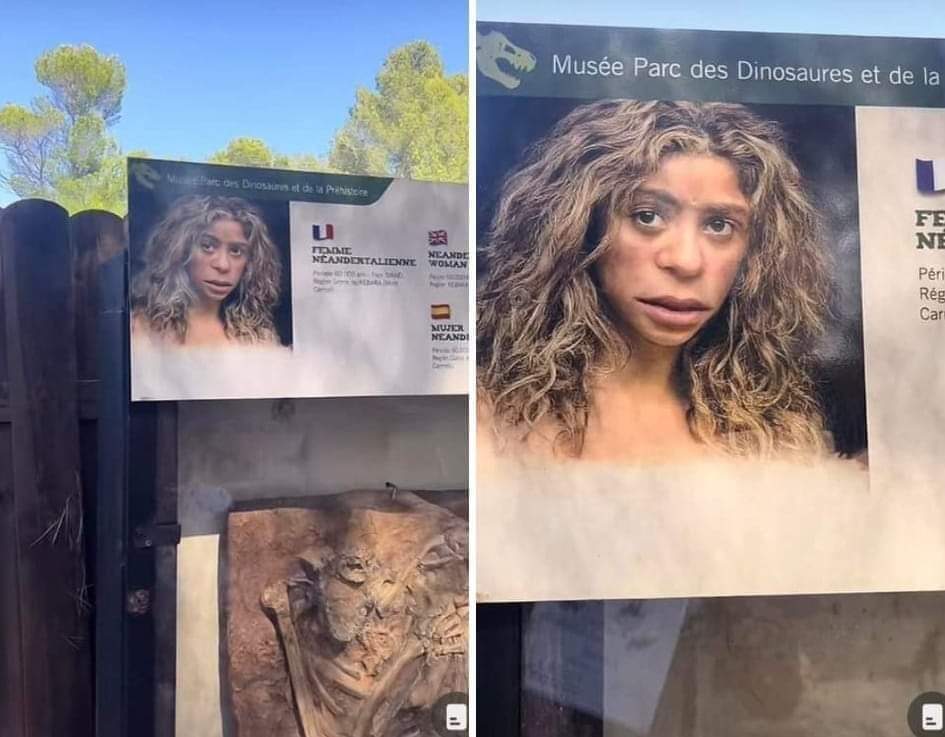 VenteDigo1's tweet photo. Cuándo te enteras que en realidad la humanidad proviene de Shakira. 😂 https://t.co/5moFNj67Li