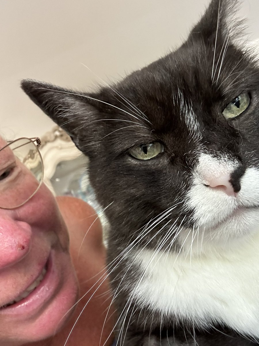 zaneykitty's tweet photo. #CatsOfTwitter https://t.co/3hL6dlOIMg