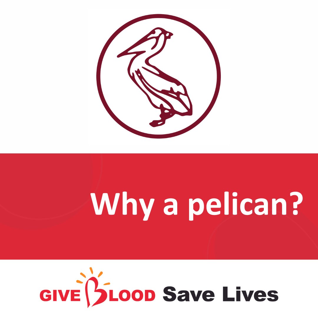NI Blood Transfusion tweet media