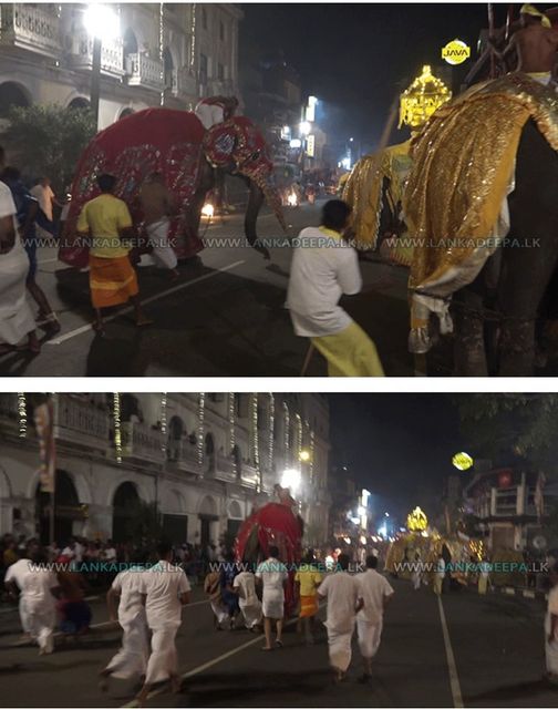 kelums's tweet photo. Built up Narrow streets, with no place to run/hide, packed crowds and complete idiots 'manning' elephants are all signs for a national disaster impending.
We are just riding the luck with no change to the ways. 
Bring all elephants under State ownership .
Train these 'mahouts'. https://t.co/MRYQlG1s35