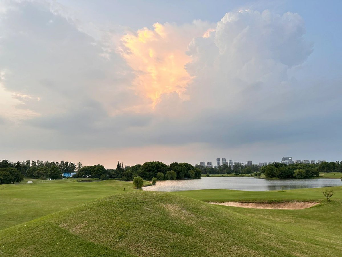 datex71's tweet image. 