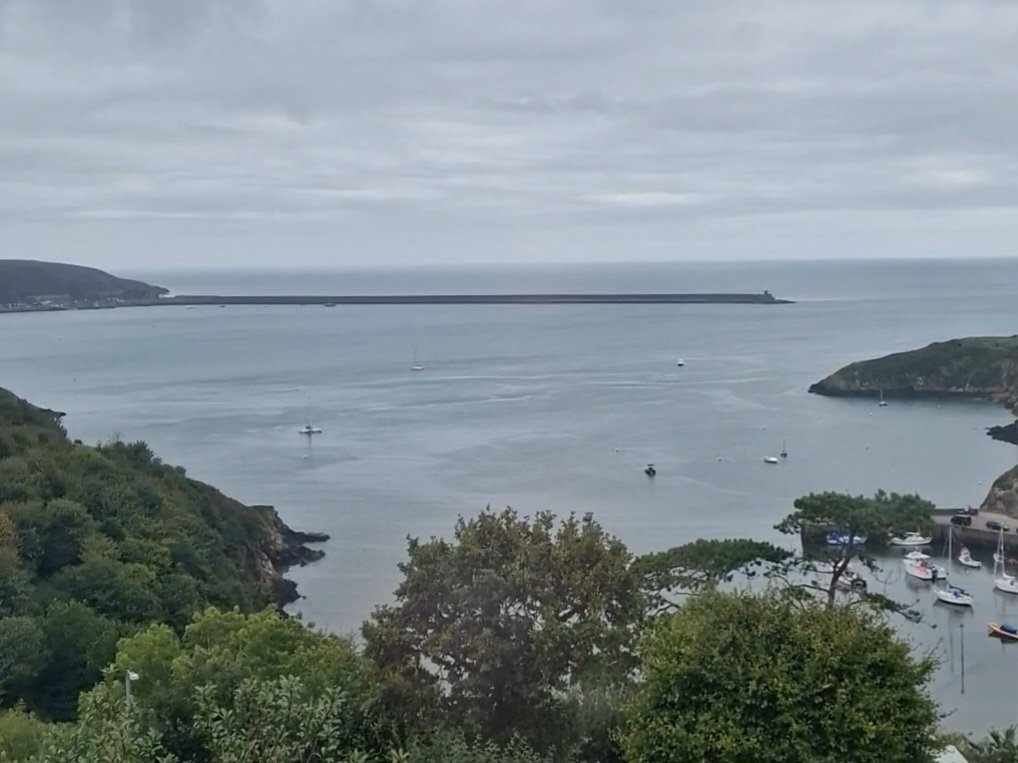 Aulus Duo tweet media