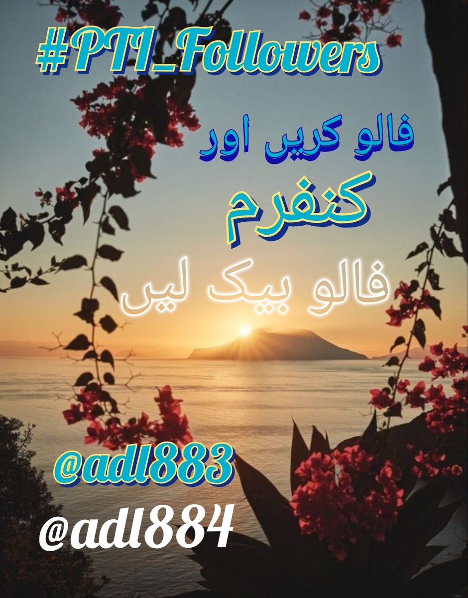 Mr Altcoin Whale 🐋 tweet media