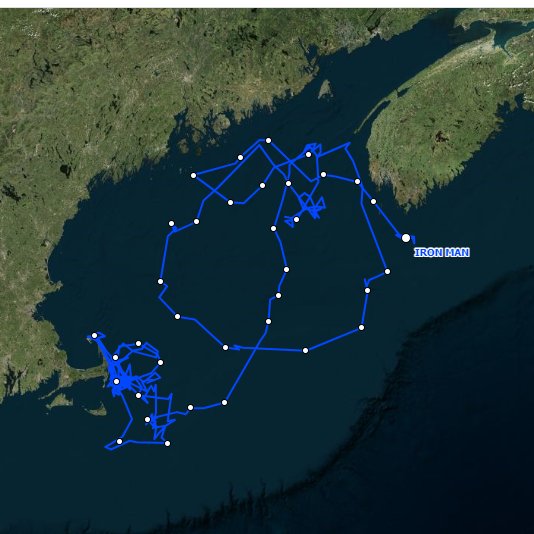Great #shearwater #IronMan has been working its way around the Gulf of Maine. Now 18 nm south of Cape Sable #NovaScotia 
#trackseabirds #Marvel #birds #seabirds #birdwatching #BirdsOfTwitter #dataviz