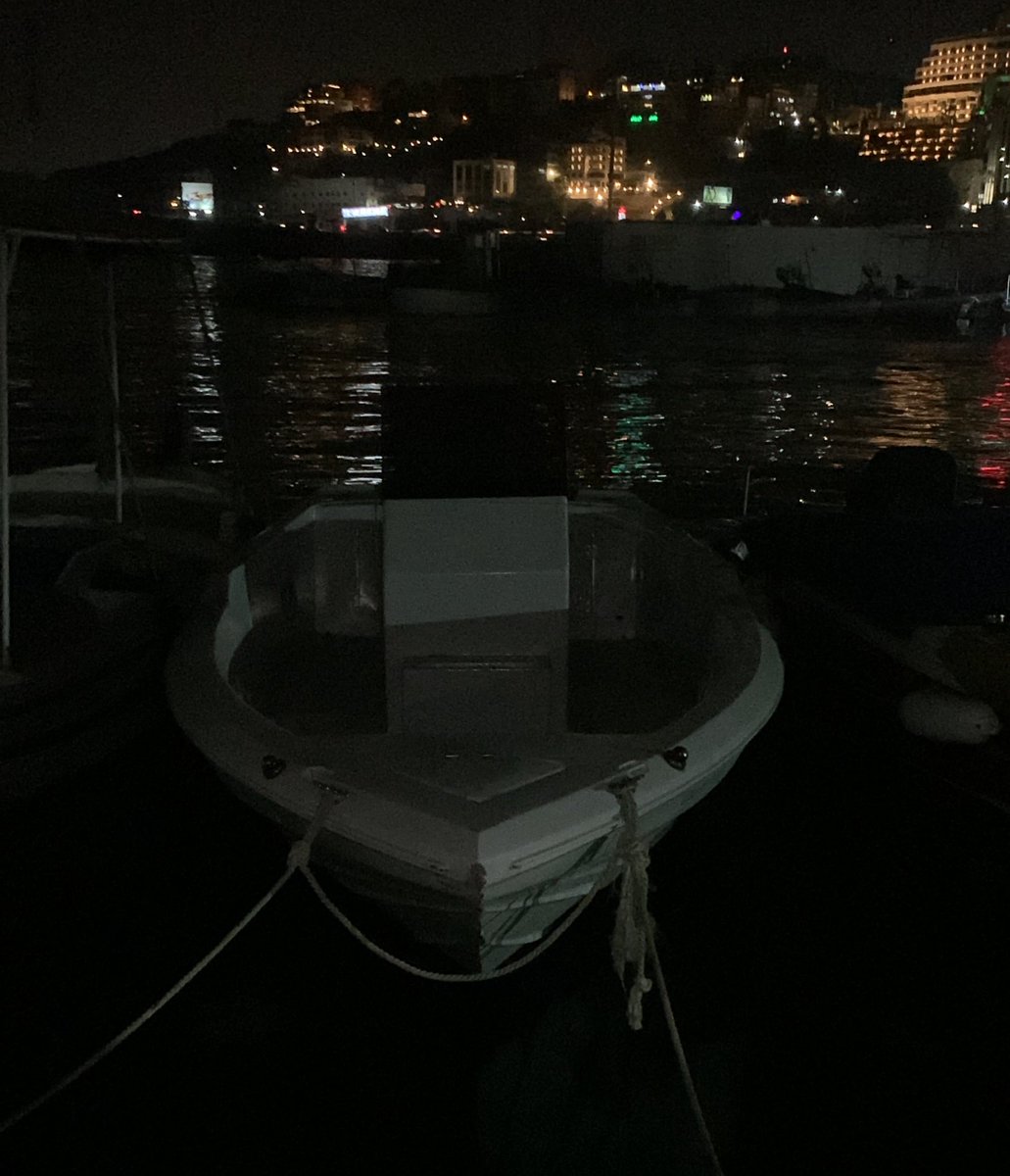 riseiot tweet picture