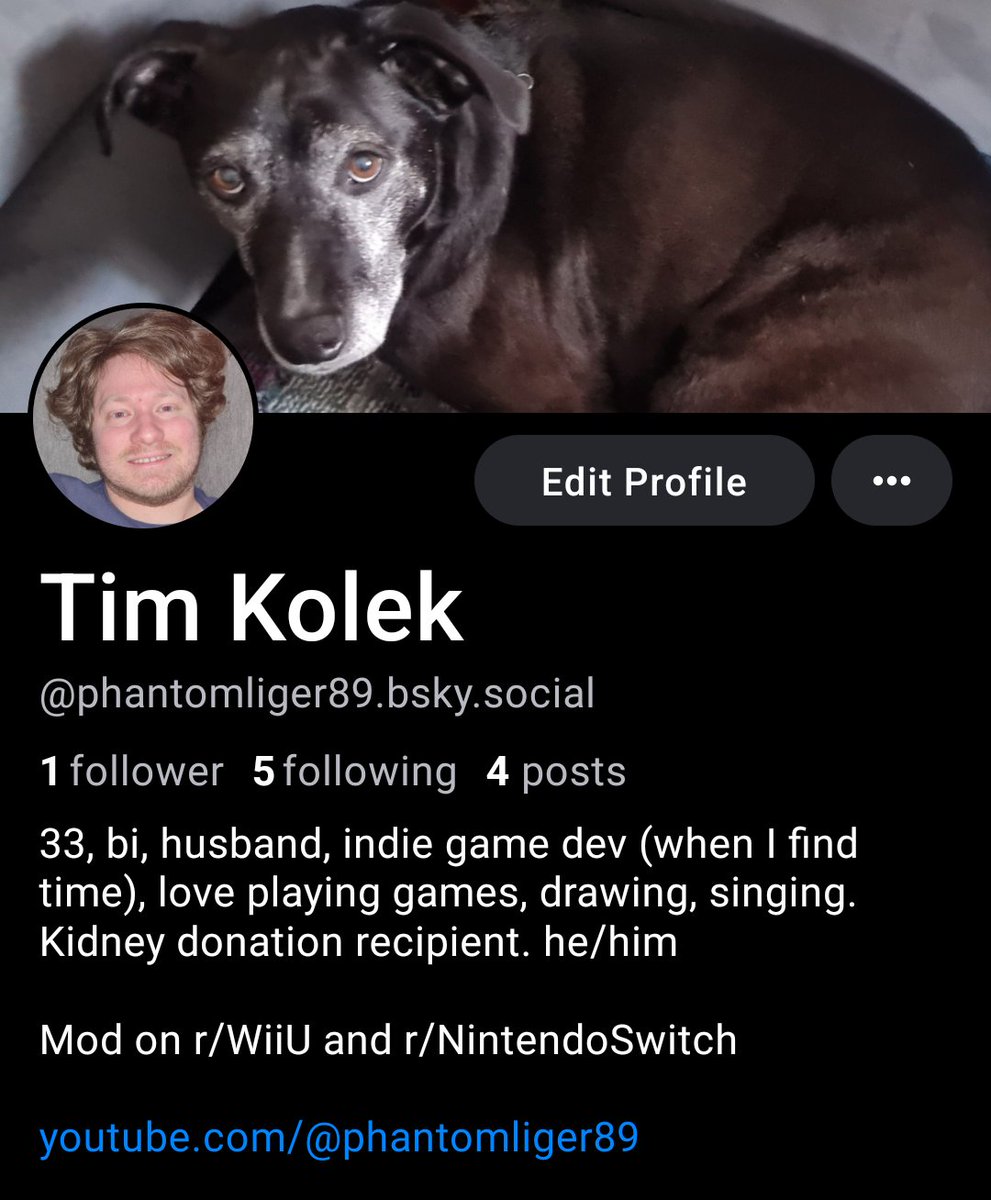 Tim Kolek tweet media