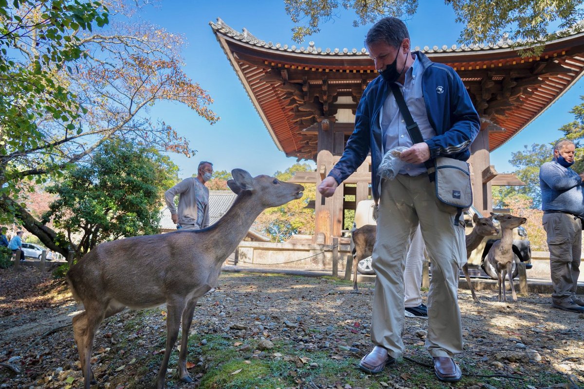 outadventures's tweet photo. Our all-gay tour of Japan celebrates ancient tradition, modern civilization, and a cultural obsession with cuteness. https://t.co/nDV92VXT6S #outadventures #outinjapan #gaytravel #lgbtqtravel #gaycation #gayvacation https://t.co/yfOSr5Djor