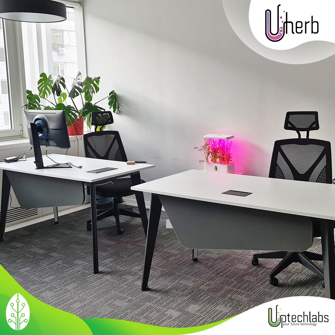 Uptechlabs tweet media