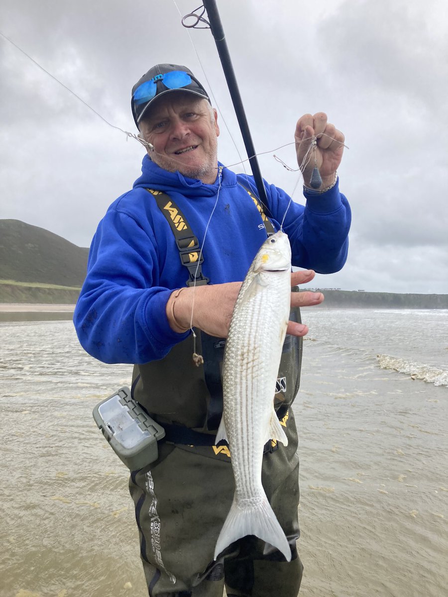 David Mitchell tweet media