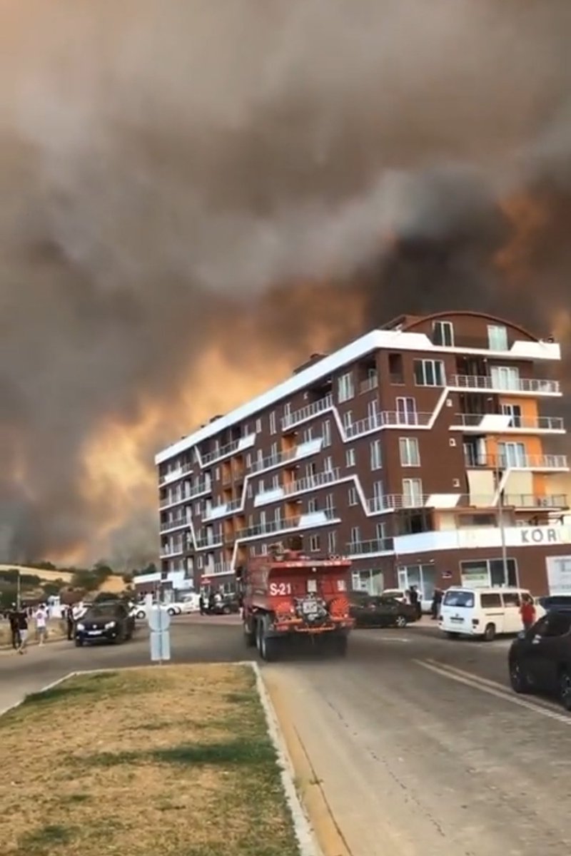 Yangınla mücadele yangın uçaklarıyla, koordinasyonla, doğa bilinciyle, tedbirle oluyor‼️ O da sizde yok‼️ #SonDakika Geçmiş olsun #Çanakkale 🙏