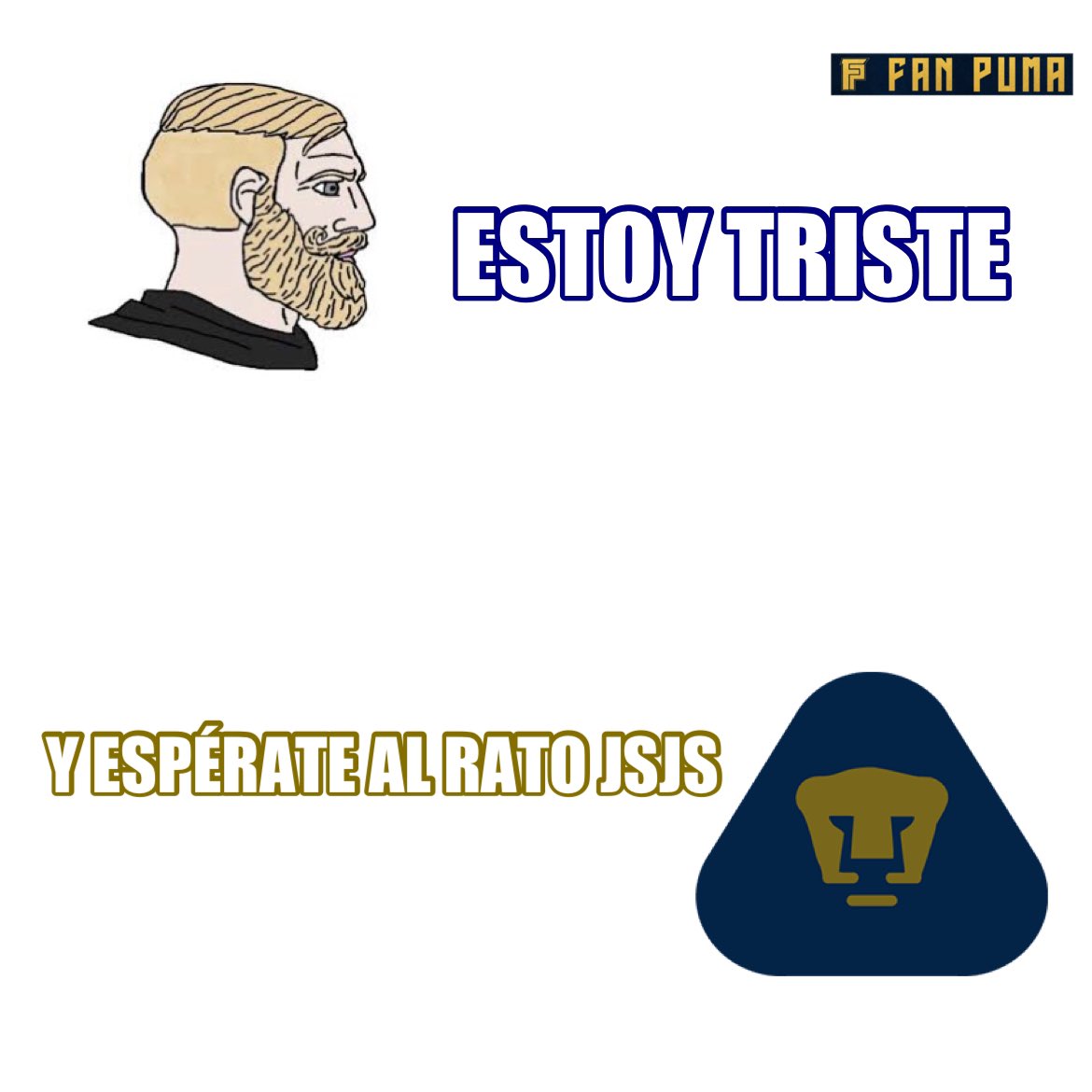 FanPumaOficial's tweet photo. https://t.co/DZOkwEmFhI