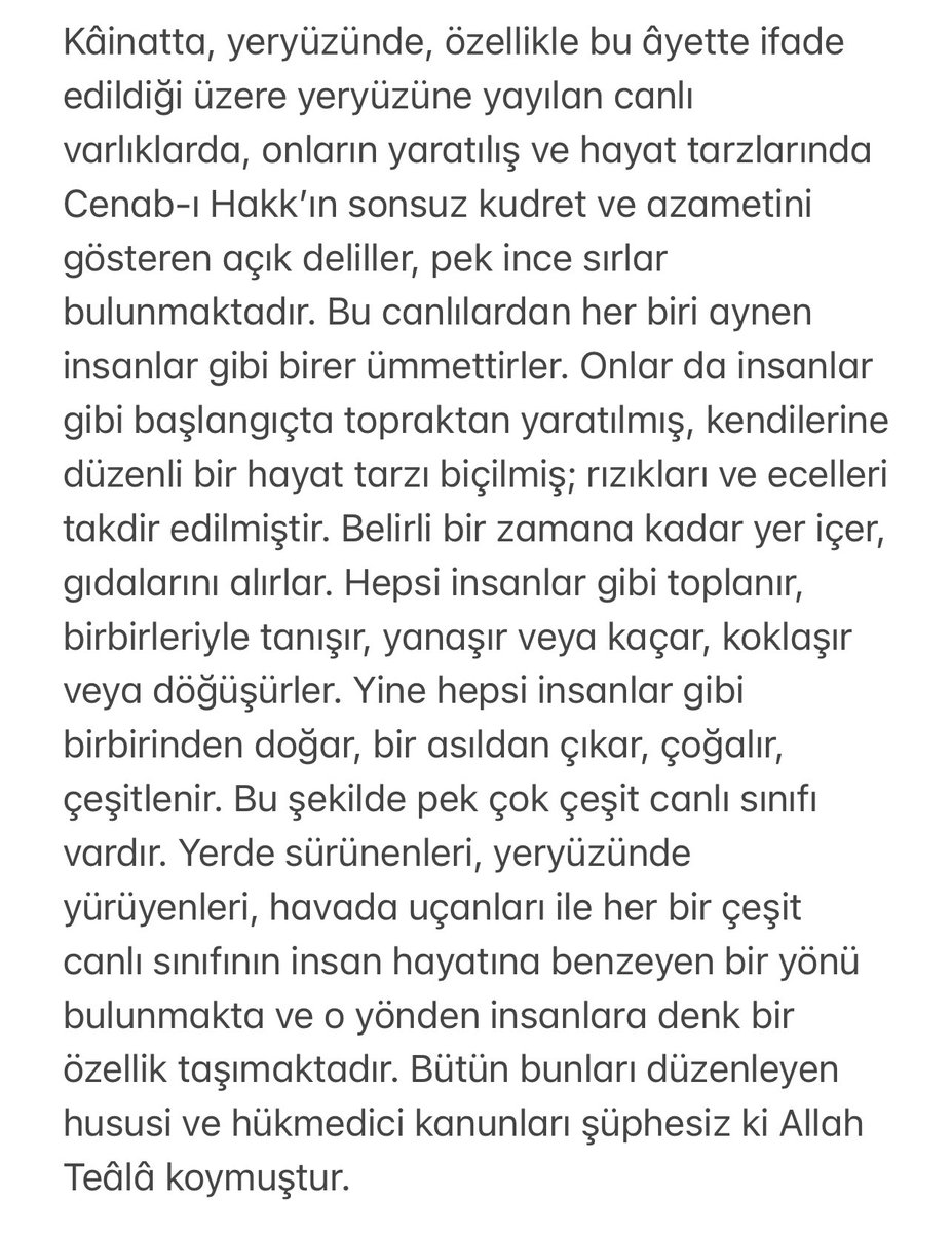cansinhelvaci's tweet image. En’âm Suresi 38. ayeti.. 
Bakın onlar gerçekten sahipsiz değil. #SOKAKHAYVANLARISAHİPSİZDEĞİL #SokakKöpekleri